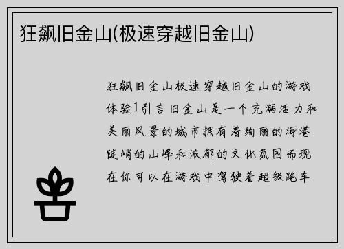 狂飙旧金山(极速穿越旧金山)