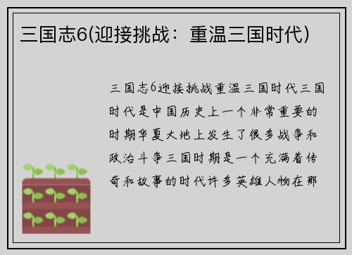 三国志6(迎接挑战：重温三国时代)